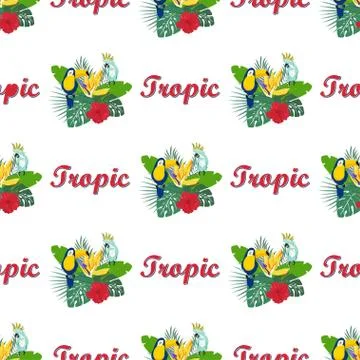 Pattern with toukan and parrot Stock-Illustration