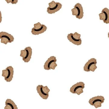 Pattern traditional straw hat cartoon vector Stock Illustration