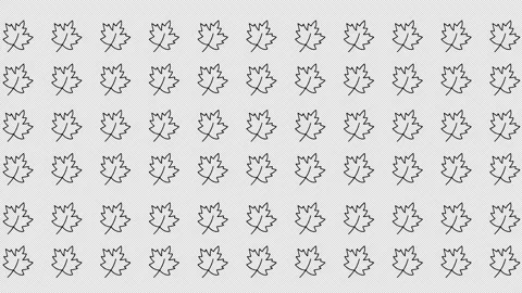 Pattern of transparent seamless maple leaf outlines arranged in a uniform grid. Stock Footage 340000936