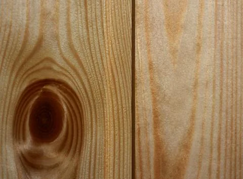 Pattern tree light beautiful bitches closeup of the ring age Stock Photos