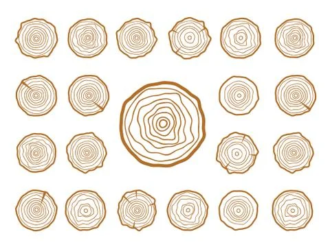 Pattern with tree rings. Circle tree background Illustrazione stock