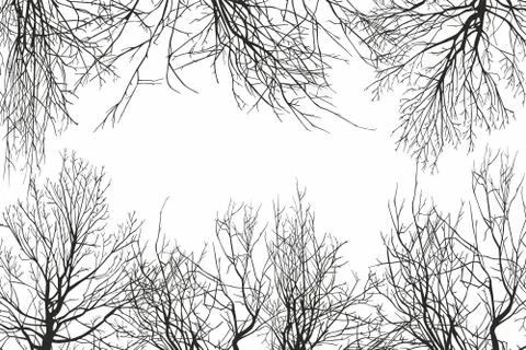 Pattern with trees silhouettes Stock Illustration