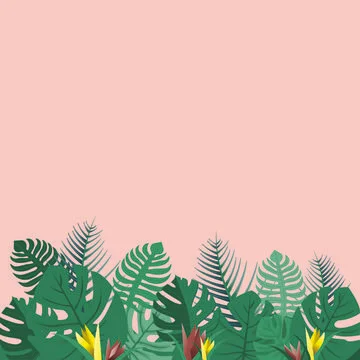 Pattern tropic copy space texture summer spring background exotic leaf leaves Stock Illustration