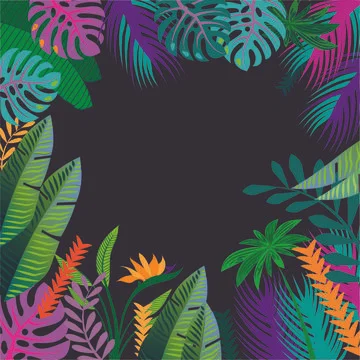 Pattern tropic copy space texture summer spring background exotic leaf leaves Stock Illustration