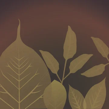 Pattern tropic texture summer spring background exotic leaf leaves tropical Stock Illustration