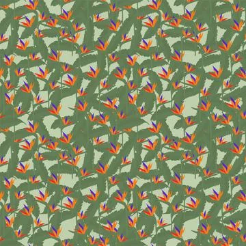 The pattern is tropical casting and flowers. Illustration with a Lithuanian Stock Illustration