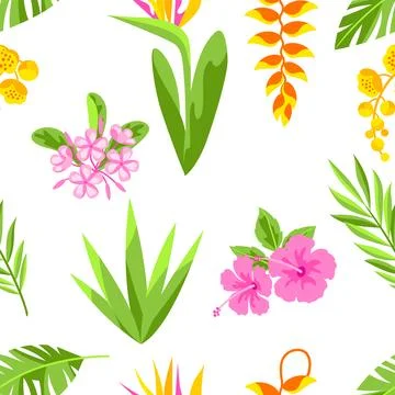 Pattern with tropical flowers. Decorative exotic foliage and plants. Stock Illustration