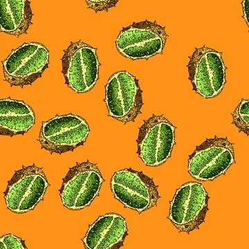 Pattern tropical kiwano sketch hand drawn Stock Illustration