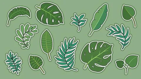 Pattern tropical leaves Vector set forest background green color collection Stock Illustration