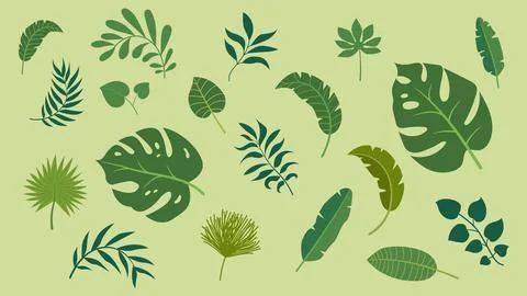 Pattern tropical leaves Vector set forest background color collection Stock Illustration