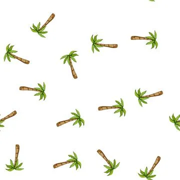 Pattern tropical palm coconut cartoon vector Stockillustratie