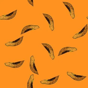 Pattern tropical papaya fruit sketch hand drawn Stock Illustration