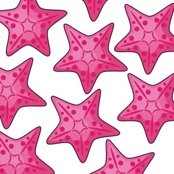 Pattern tropical of starfish animals Stock Illustration