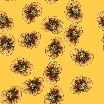 Pattern tuberhybrida begonia sketch hand drawn Illustrazione stock