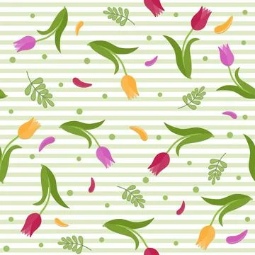 Pattern of tulips on a white background with stripes, color vector illustrati Stock Illustration
