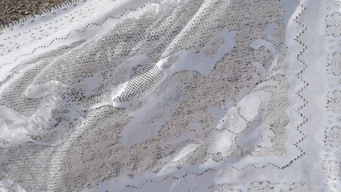 Pattern tulle in the wind on the background of arable land 10 스톡 동영상 129460685