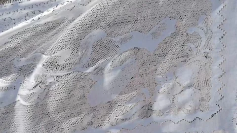 Pattern tulle in the wind on the background of arable land 9. Loop Stock Footage 129460688