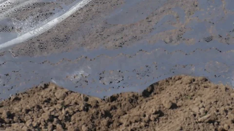 Pattern tulle in the wind on the background of arable land 4 Stock Footage 129460996