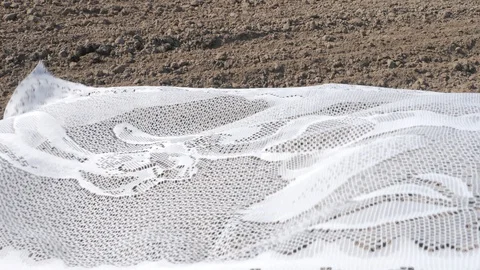 Pattern tulle in the wind on the background of arable land 3 Stock-Footage 129461463