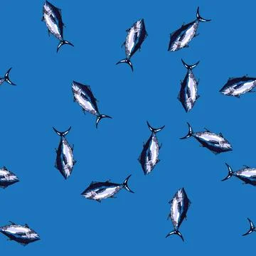 Pattern tuna fish sketch hand drawn Stock Illustration