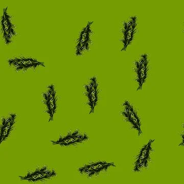 Pattern twig rosemary sketch hand drawn Stock Illustration