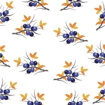 Pattern with twigs of blue blackthorn Stock Illustration