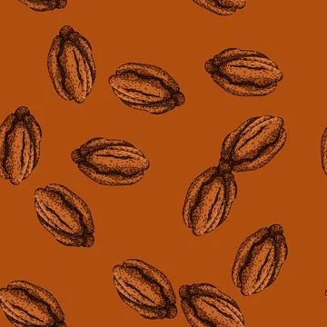 Pattern ty pecan nut sketch hand drawn Stock Illustration