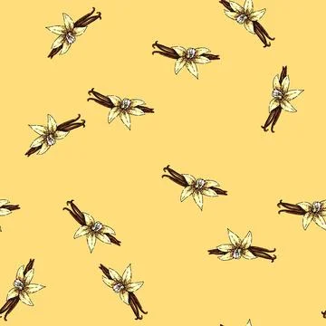 Pattern vanilla aromatic sketch hand drawn Stock Illustration
