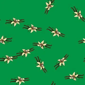 Pattern vanilla flavor sketch hand drawn Illustrazione stock