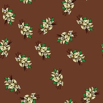 Pattern vanilla spice sketch hand drawn Illustrazione stock