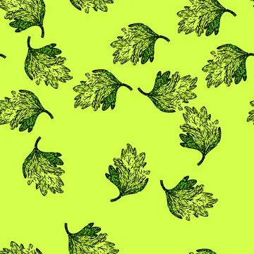 Pattern vector chervil sketch hand drawn 库存插图