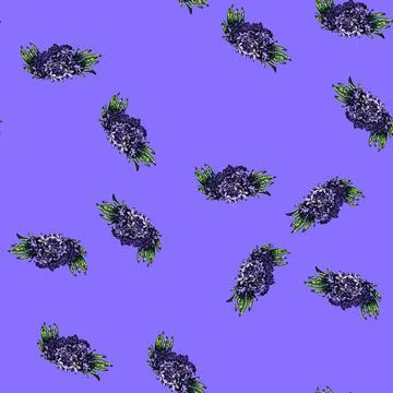 Pattern vector lavender sketch hand drawn イラスト素材