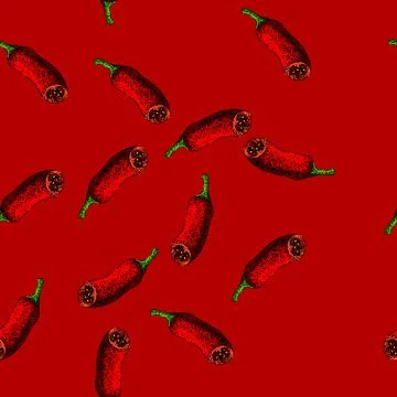 Pattern vegetable chili pepper sketch hand drawn Illustrazione stock
