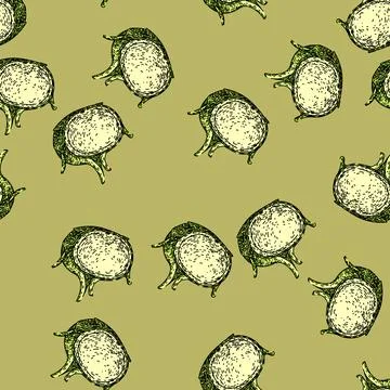 Pattern vegetable kohlrabi green sketch hand drawn Stock Illustration