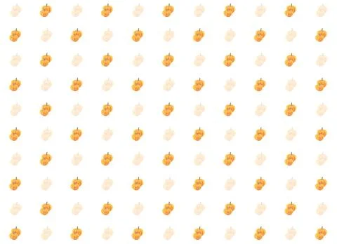 Pattern vegetable pumpkin a pair of bright vegetables and tinted on an isolat Foto stock