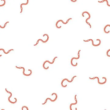 Pattern vermiculture worm cartoon vector Stock Illustration