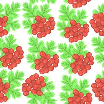 Pattern with viburnum Stock Illustration