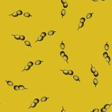 Pattern view coriander sketch hand drawn Stock Illustration