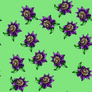 Pattern vine clematis sketch hand drawn Illustrazione stock