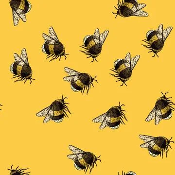 Pattern vintage bee sketch hand drawn Ilustração Stock