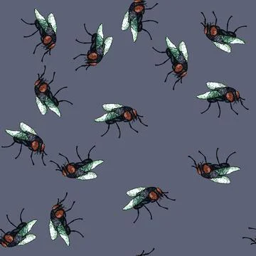 Pattern vintage fly sketch hand drawn Stock Illustration