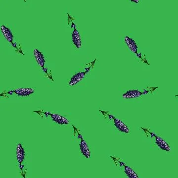 Pattern vintage lavender sketch hand drawn Stock Illustration