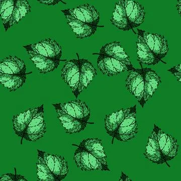 Pattern vintage nettle sketch hand drawn Stock Illustration