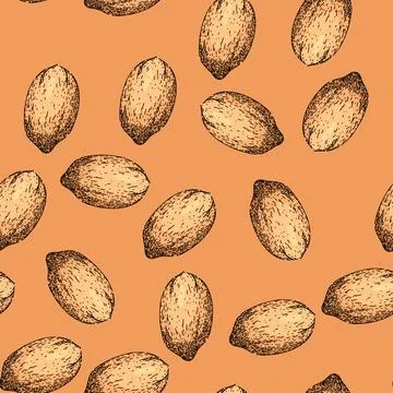 Pattern vintage pecan nut sketch hand drawn Stock Illustration