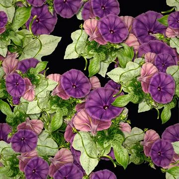 Pattern with violet flowers Stock Illustration