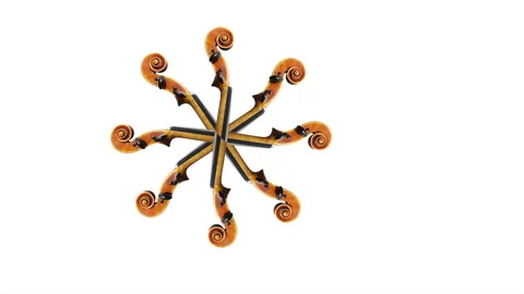 Pattern - Violin scroll wheel / flower rotating. 動画素材 300004015