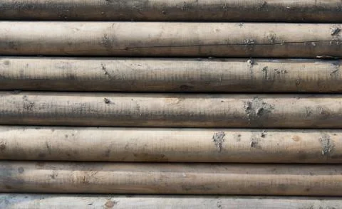 The pattern of a wall made up from wooden trunks Stock Photos