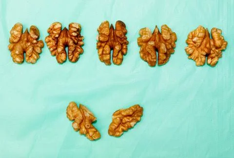 A pattern of walnut kernel halves in a row on a turquoise background. Stock-Fotos