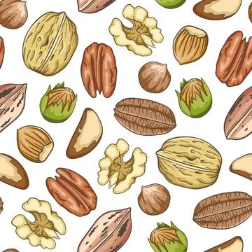 Pattern with walnut, pecan and hazelnuts. Illustrazione stock