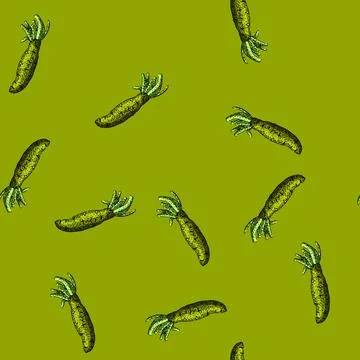Pattern wasabi root sketch hand drawn Stock Illustration